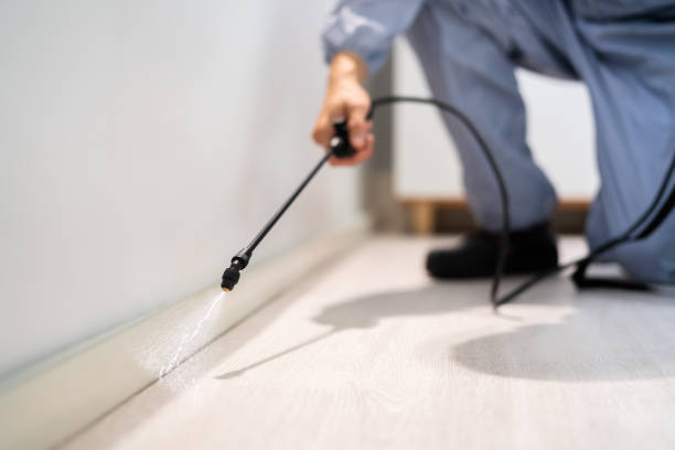 Professional exterminator conducting IPM assessment in Mitchell